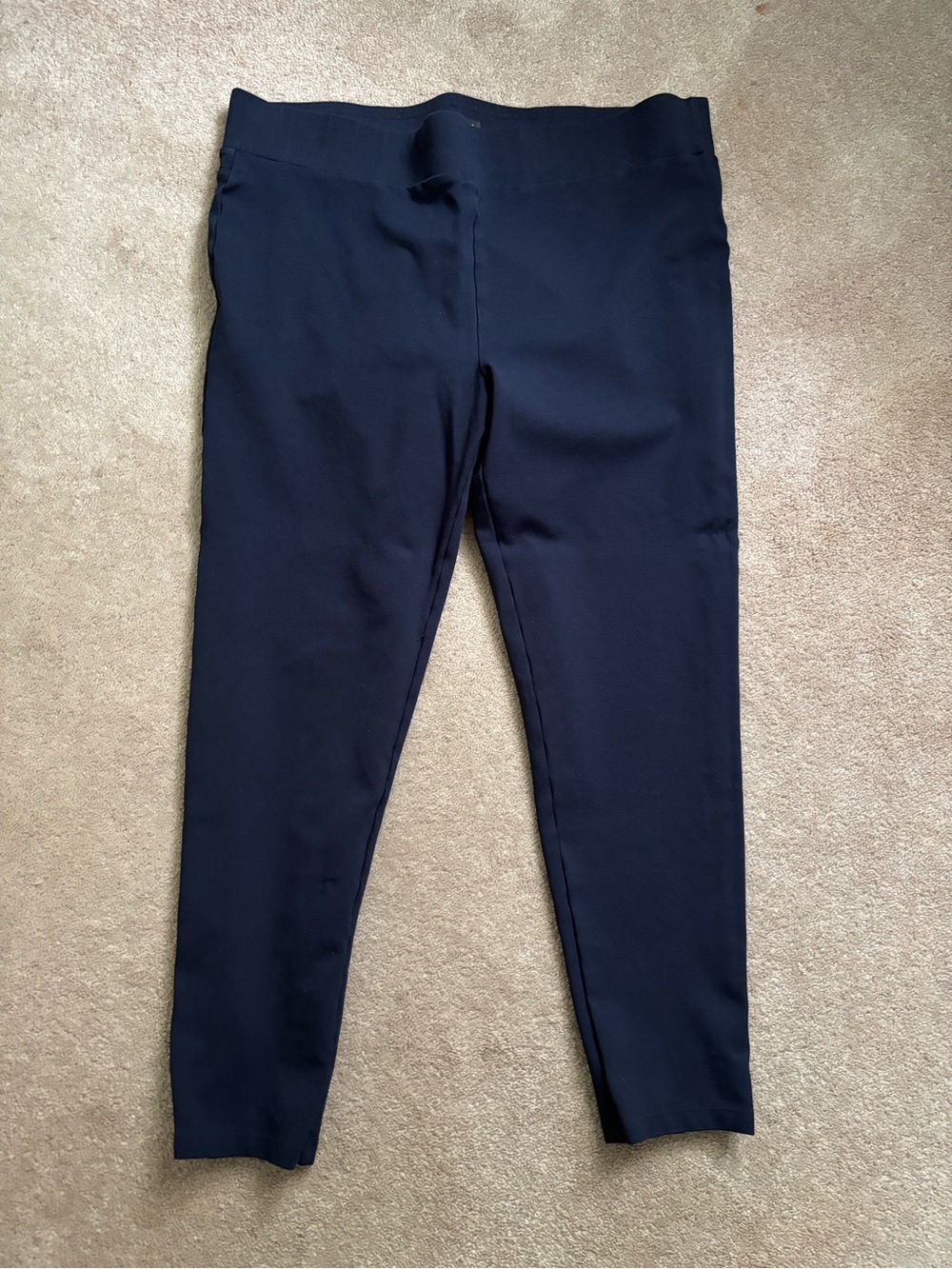 LOFT Navy Ponte Leggings